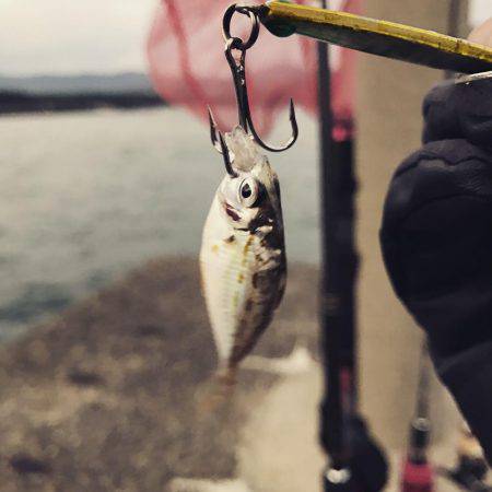 越前海岸テトラ帯〜磯