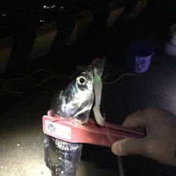 劇渋のなか、嬉しさ倍増!