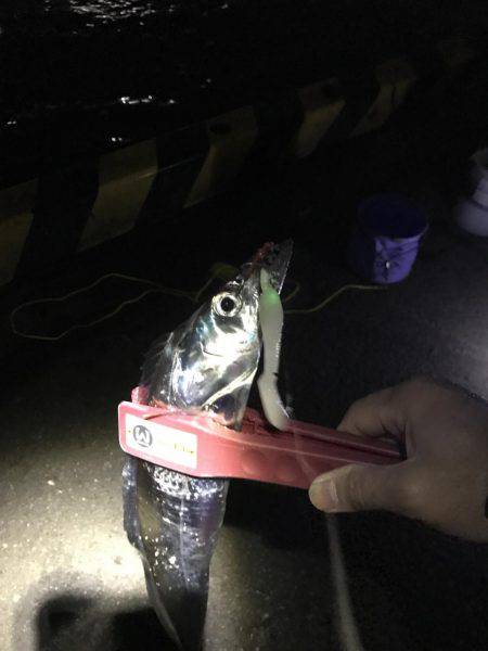 劇渋のなか、嬉しさ倍増！