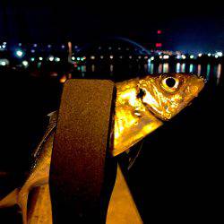 今日は暖かいので