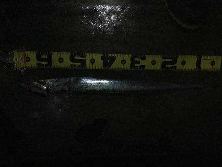 そろそろ終盤戦