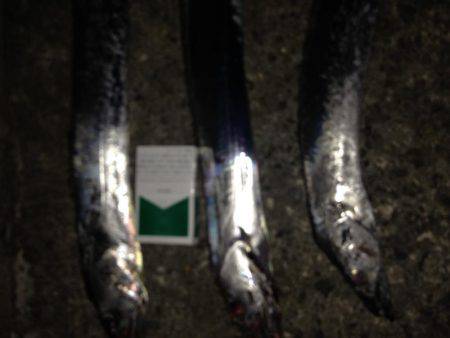 もう終わりかな