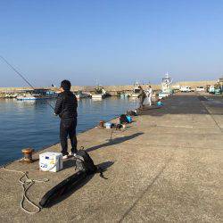 カレイ狙いのはずが・・・・?