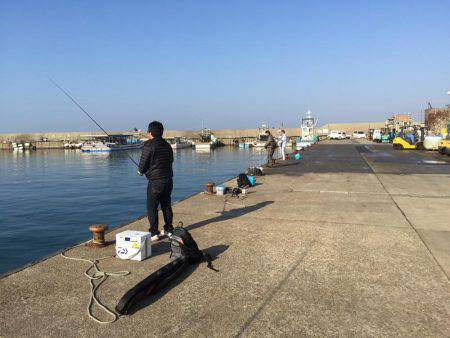 カレイ狙いのはずが・・・・?