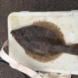 33年ぶりのカレイ！