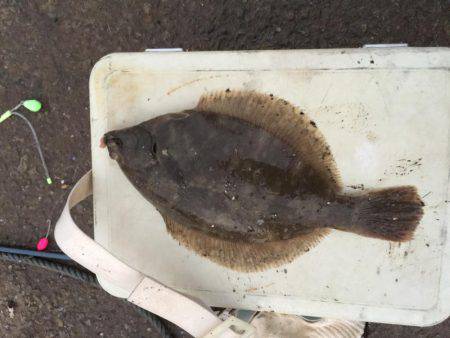 33年ぶりのカレイ！