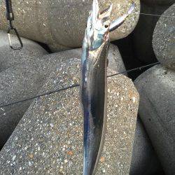 むむむ・・無念!