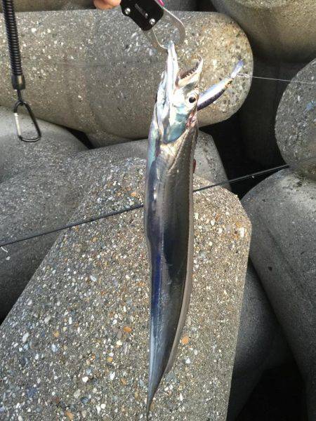 むむむ・・無念!