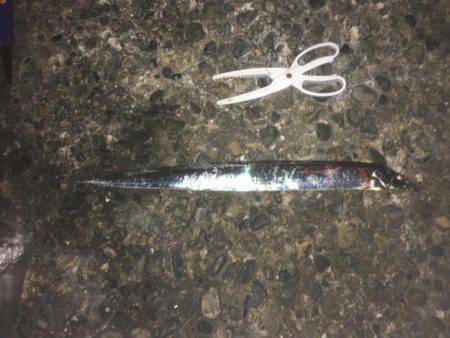 ワインド始めて二匹目！