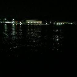 ゴンズイ祭りからのマイワシ爆釣!