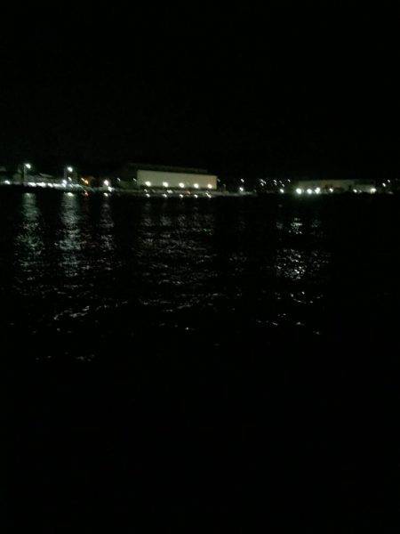 ゴンズイ祭りからのマイワシ爆釣!