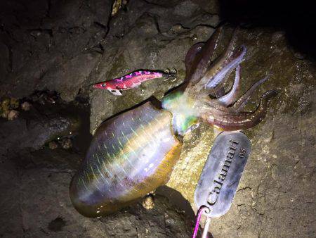 一瞬のタイミング