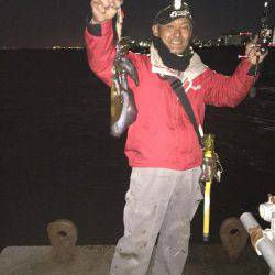 ご近所エギング