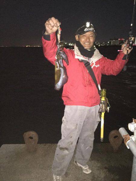 ご近所エギング