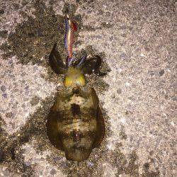 ちっちゃい〜〜