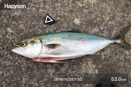 夜明け前の一瞬のボイル