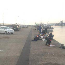 落ちてたサビキの針で