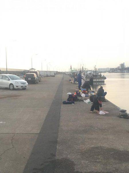 落ちてたサビキの針で