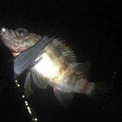 あからさま過ぎです(● ˃̶͈̀ロ˂̶͈́)੭ꠥ⁾⁾