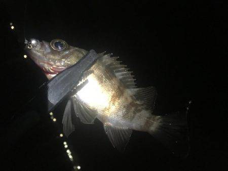 あからさま過ぎです(● ˃̶͈̀ロ˂̶͈́)੭ꠥ⁾⁾