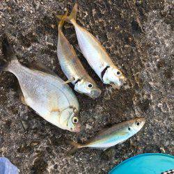 う〜ん、納得できない。