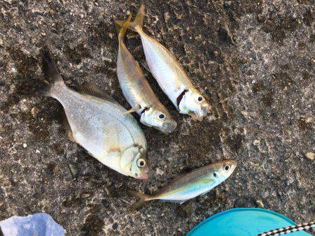 う〜ん、納得できない。