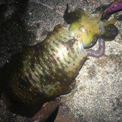 とにかく1杯❗️