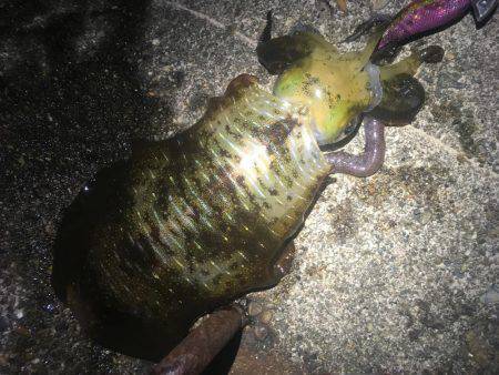 とにかく1杯❗️