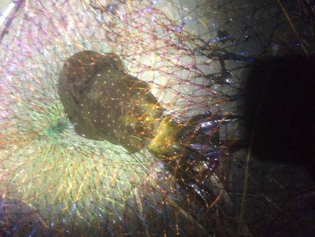 アオリ釣りに行って来ました。