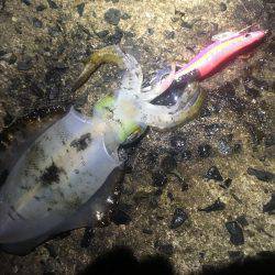 午前3時から朝までの予定でしたが。