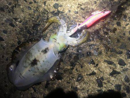 午前3時から朝までの予定でしたが。