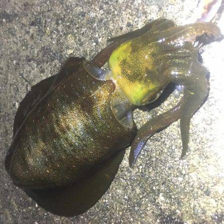 今夜も貸し切り♪