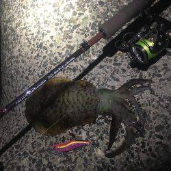 大きいサイズを求めて…