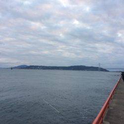 マダイのはずがメバル