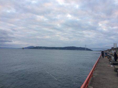 マダイのはずがメバル