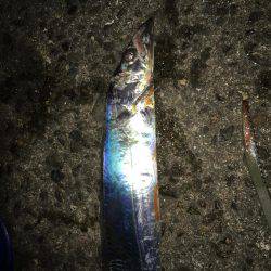 うれしい自己新記録