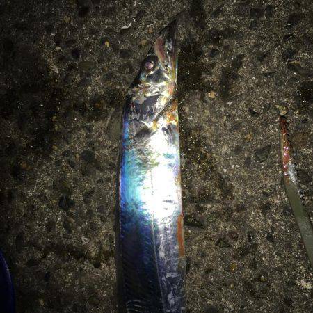 うれしい自己新記録