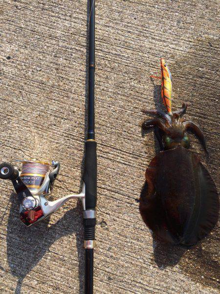 強風でよく飛ぶ