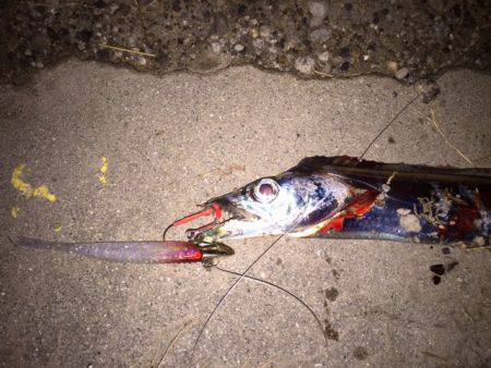 アタリはあれどキャッチは難しかった