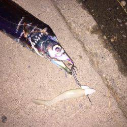 渋いアタリをなんとか拾いました