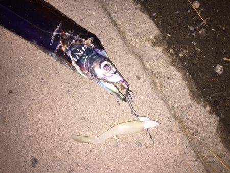 渋いアタリをなんとか拾いました