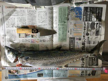 久しぶりの獲物