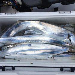 タチウオテンヤ釣り