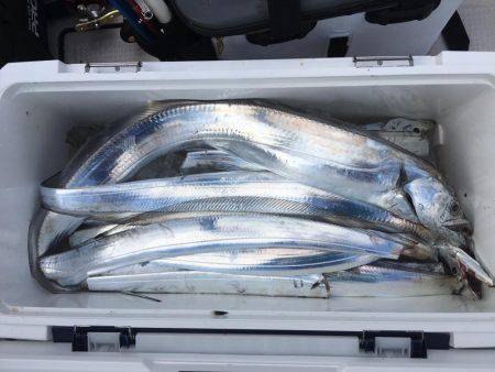 タチウオテンヤ釣り