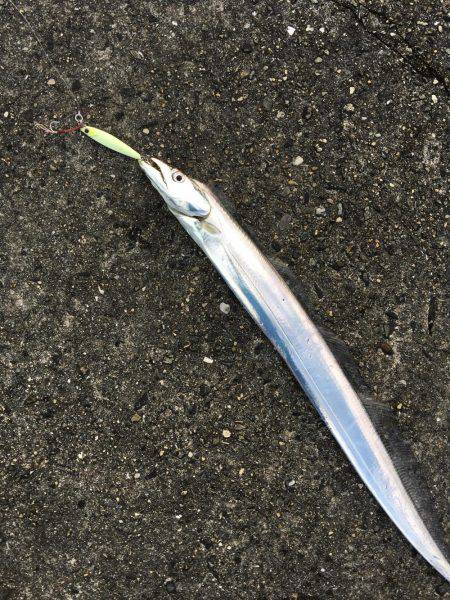 ライトショアジギング