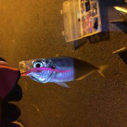 ワインド難しい?