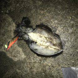 エイリアン・サーベル