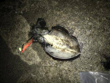 エイリアン・サーベル