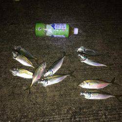 津久見港・ナフコ裏にてアジング