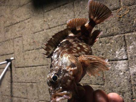 ガシリング練習